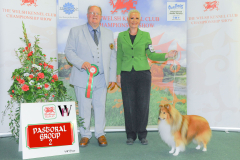 WH1_2003_WKC-2025-PASTORAL-scaled