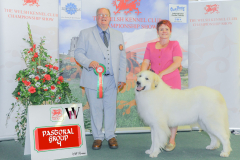 WH1_2019_WKC-2025-PASTORAL-scaled